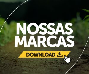 Sixth Banner